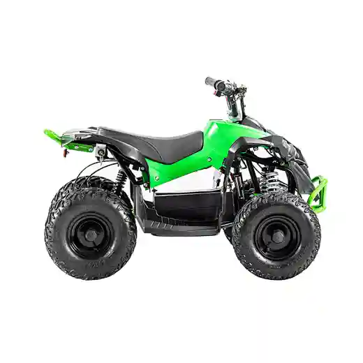 Hot Mini Electric ATV Electric Quad for Kids 800W Motor Power Battery Brush BIKE Brake Transmission 36V 12AH MAX Chain