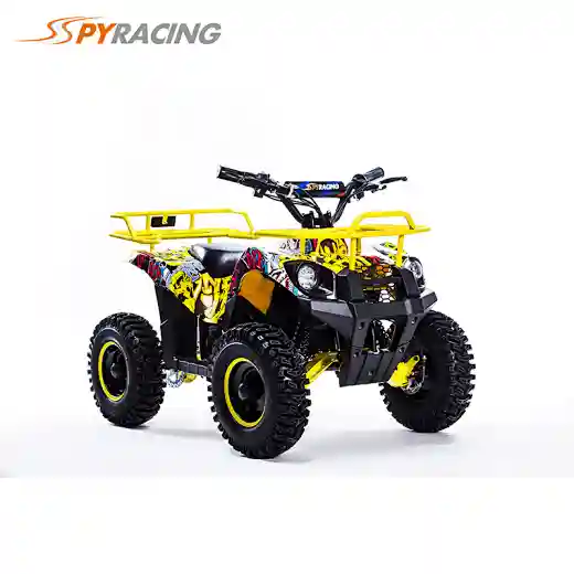Kids Mini 800W 1000W 36V Electric ATV 4 Wheel quad bike