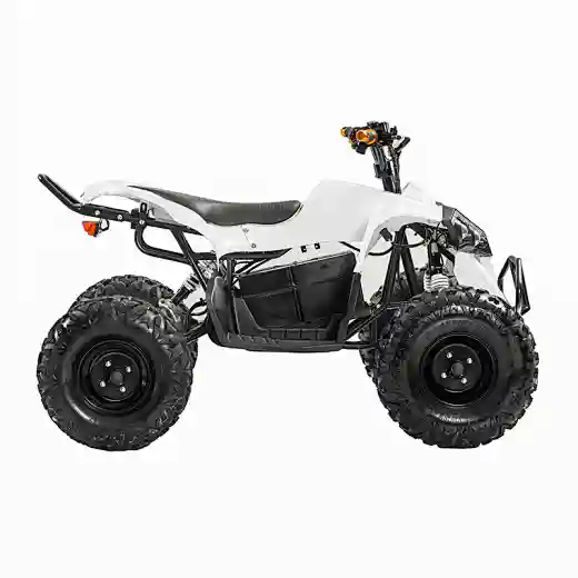 2023 48V 20Ah 1200Wshaft drive brushless motor 4 wheel quad bikes electric ATVs for Teens