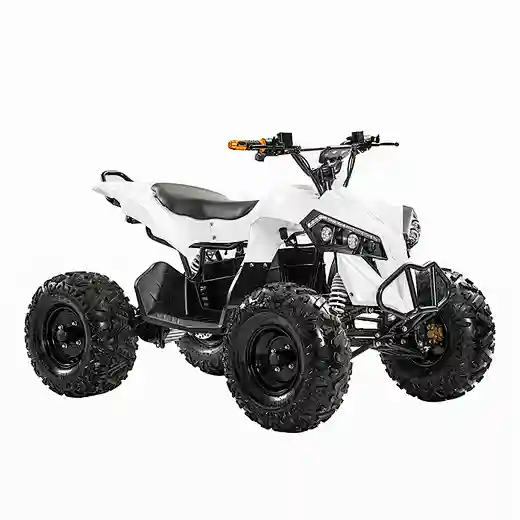 2023 48V 20Ah 1200Wshaft drive brushless motor 4 wheel quad bikes electric ATVs for Teens