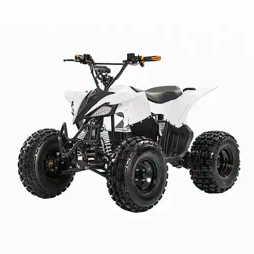 Big Wheels Kids/adults ATV Children/teens Electric Motorcycle Power Battery 4WD Suspension Music Light Ride On Car