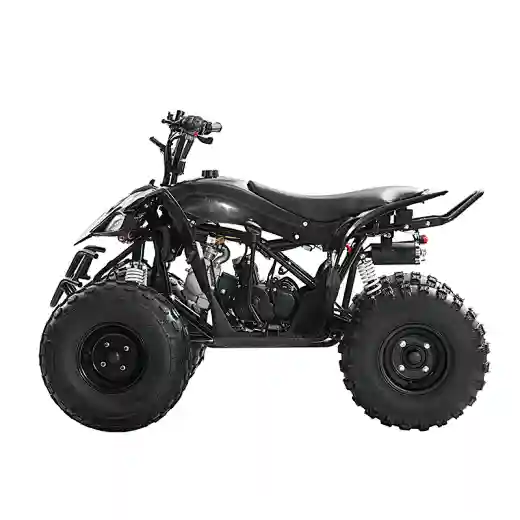 2023 New Adults Mini Sport Off Road ATV Motor 125cc 4x4 gas ATV 4-wheel quad