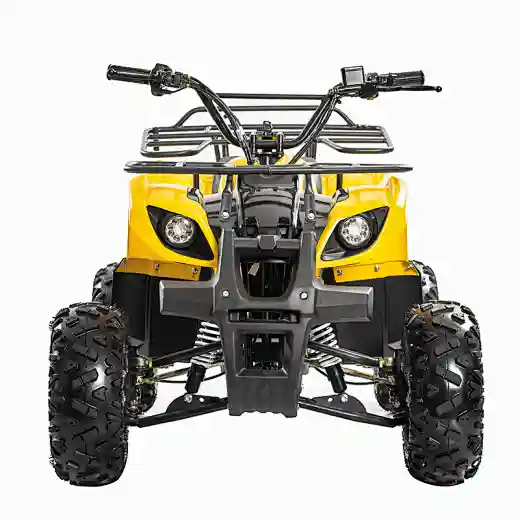 Cheap Chinese battery operated Electric ATVS quad bike 1500W 1200w  48V 60v  lithium For Adults off road 4wheelers car bikes long ranges