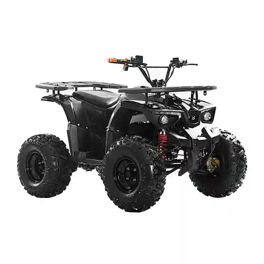 48V 20Ah 1200Wshaft drive brushless motor 4 wheel quad bikes electric ATVs for Teens