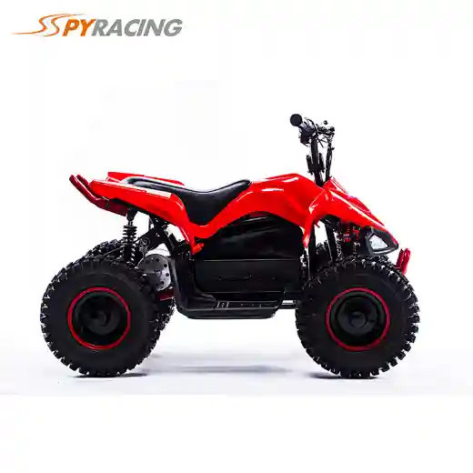 Kids Mini 1000W 800w 500w  36V Electric ATV 4 Wheel quad bike
