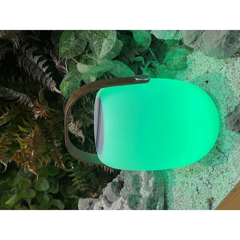 Portable Bluetooth Speaker with 16color change Outdoor Light