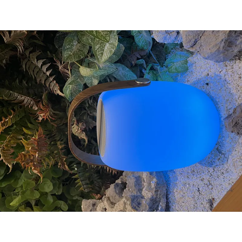 Portable Bluetooth Speaker with 16color change Outdoor Light