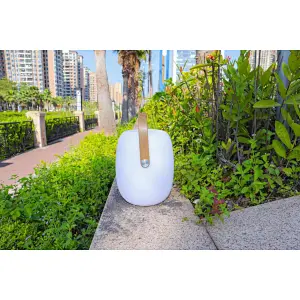 Portable Bluetooth Speaker with 16color change Outdoor Light