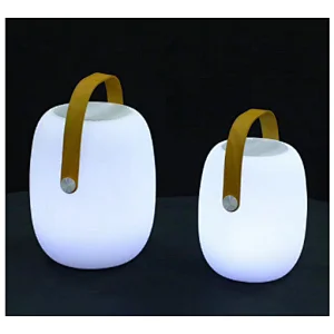 Portable Bluetooth Speaker with 16color change Outdoor Light