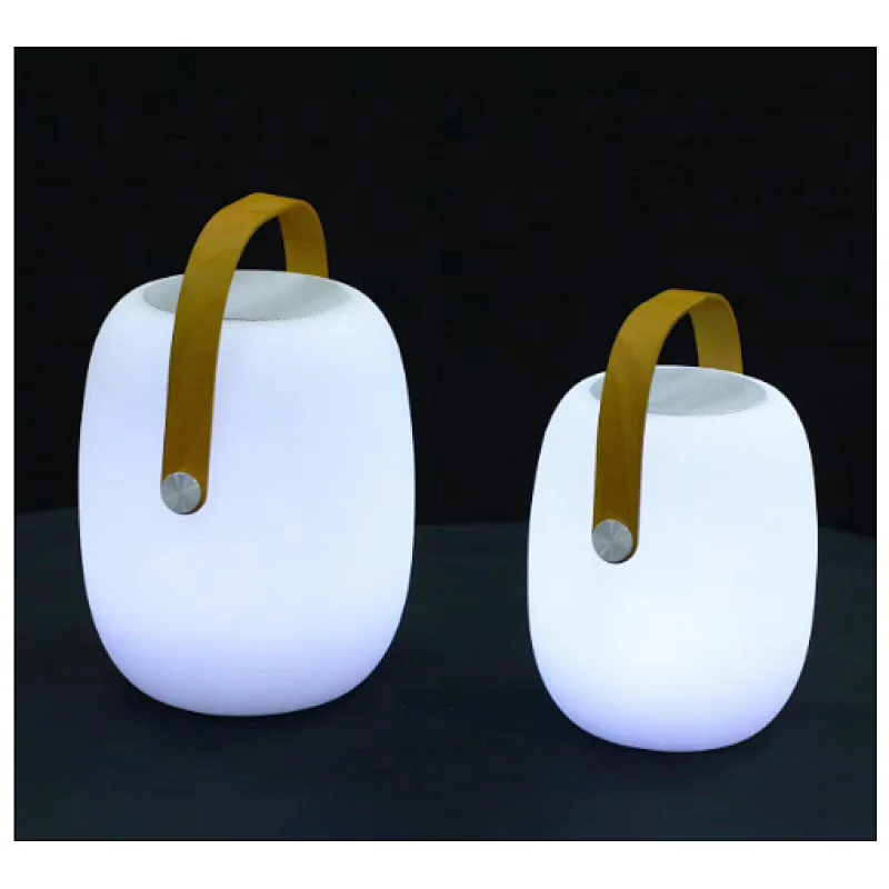 Portable Bluetooth Speaker with 16color change Outdoor Light