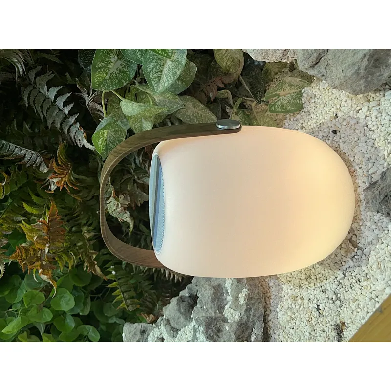 Portable Bluetooth Speaker with 16color change Outdoor Light