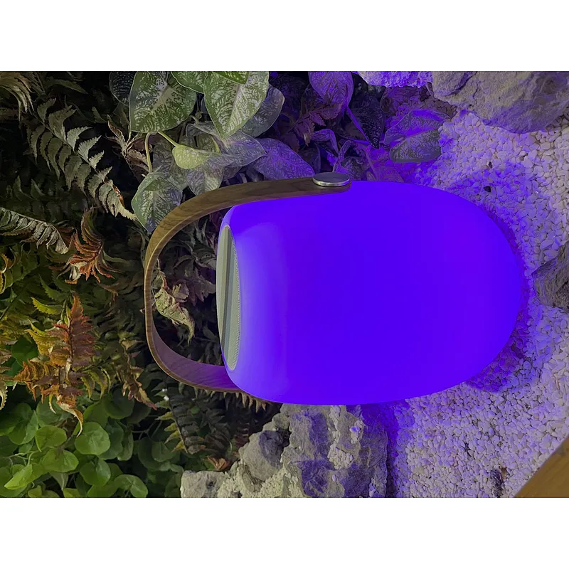 Haut-parleur Bluetooth portable avec lumière extérieure à changement de 16 couleurs