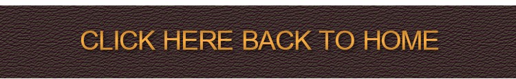 unique briefcase bag