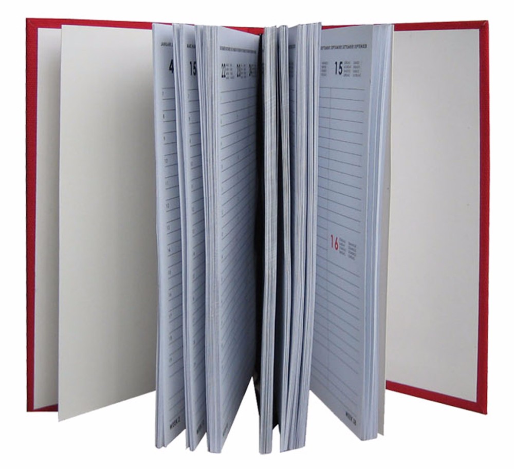 beautiful diary books