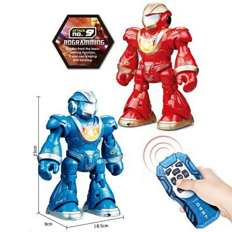 Remote Control Programmable Robot