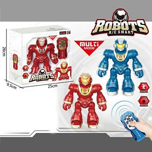 Remote Control Programmable Robot