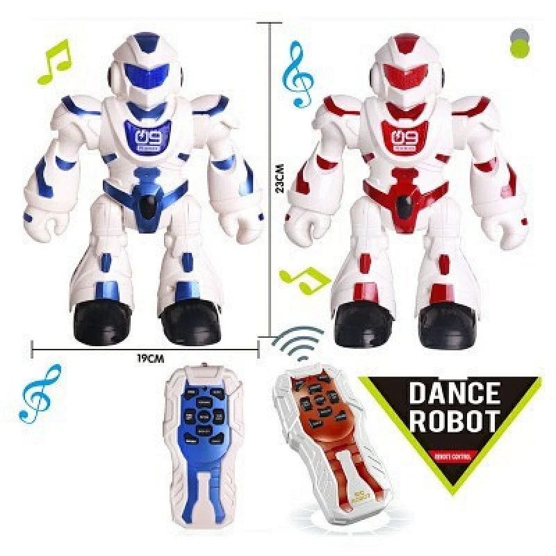 Remote Control Programmable Robot