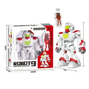 Remote Control Programmable Robot