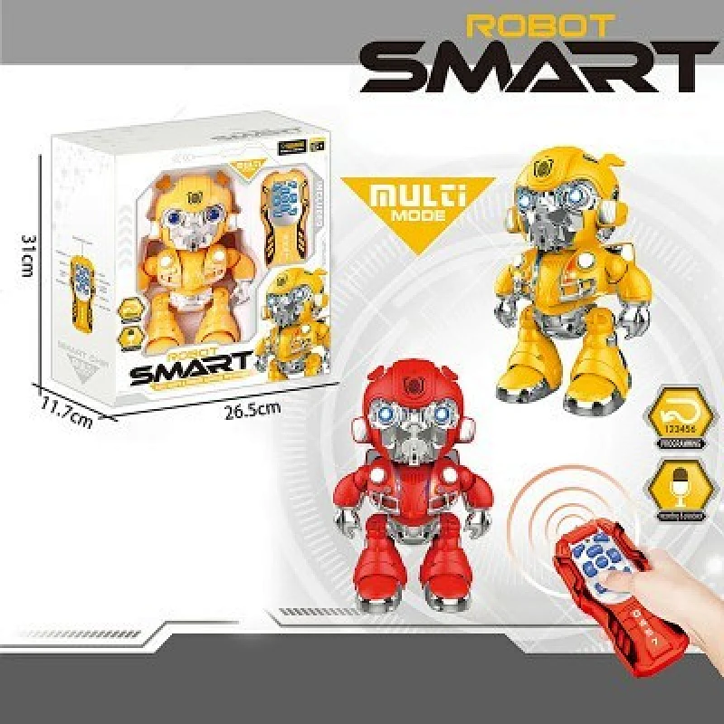 Remote Control Programmable Robot