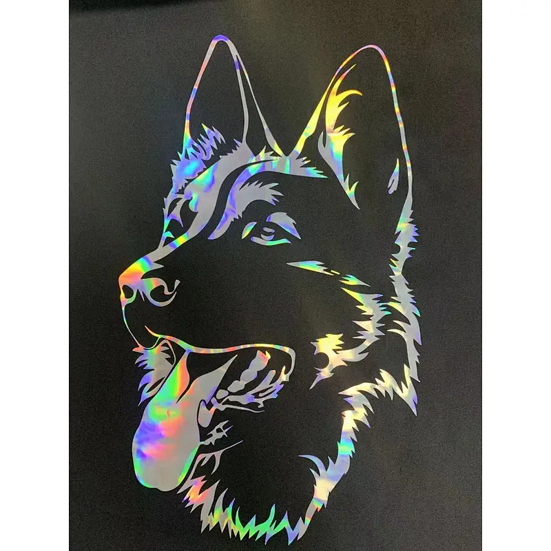 Heat transfer vinyl custom LOGO Guangzhou Colorful Foil New Material Technology Co., Ltd