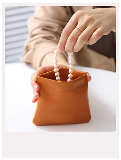 earphone bag