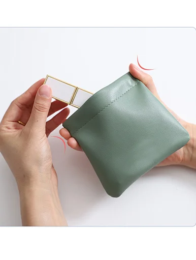 earphone bag