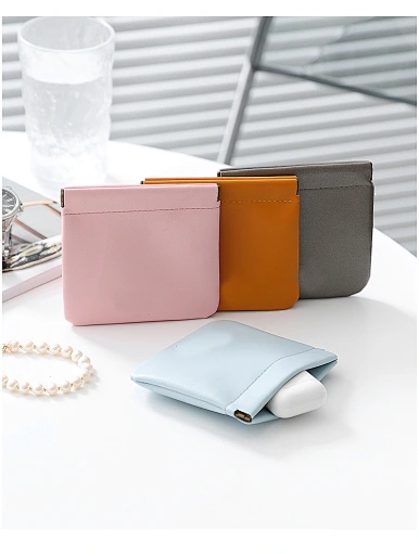 earphone bag