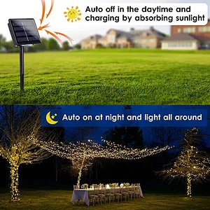best outdoor tree lights