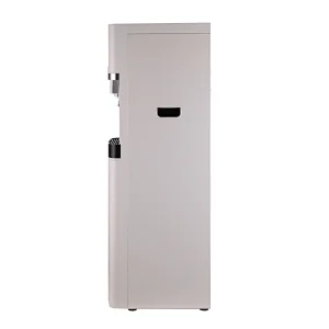 Mains-fed water dispenser