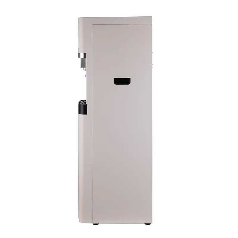 Mains-fed water dispenser