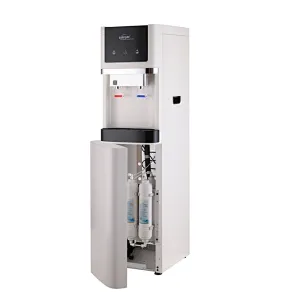 Mains-fed water dispenser