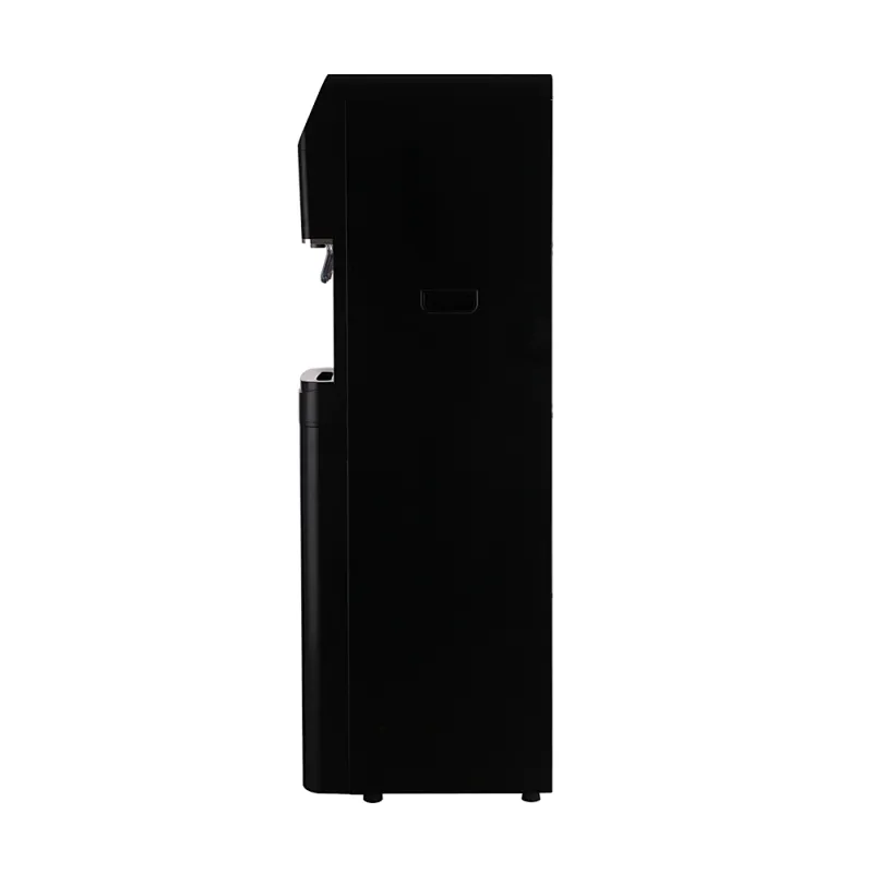 home using water dispenser