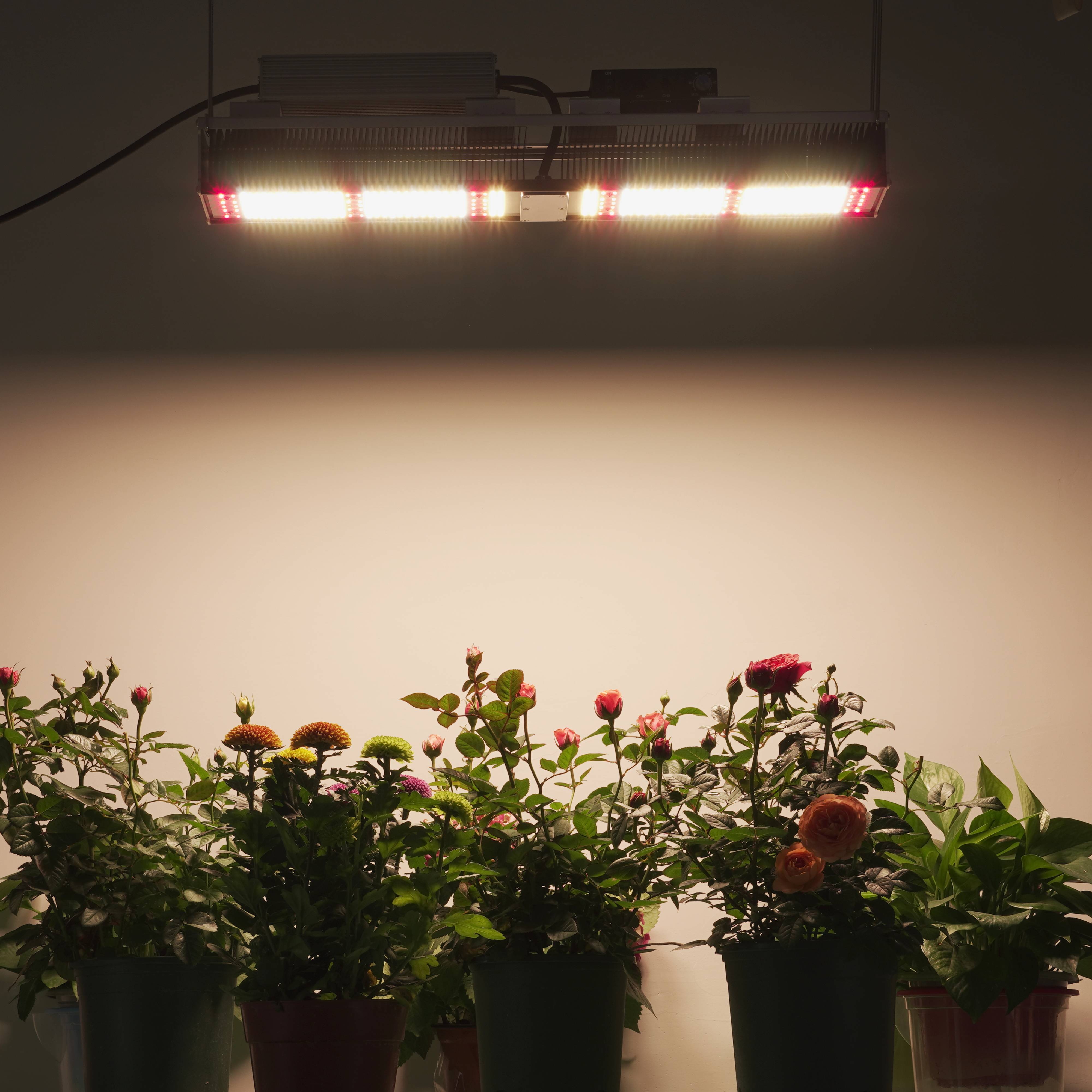 Grow Light LED