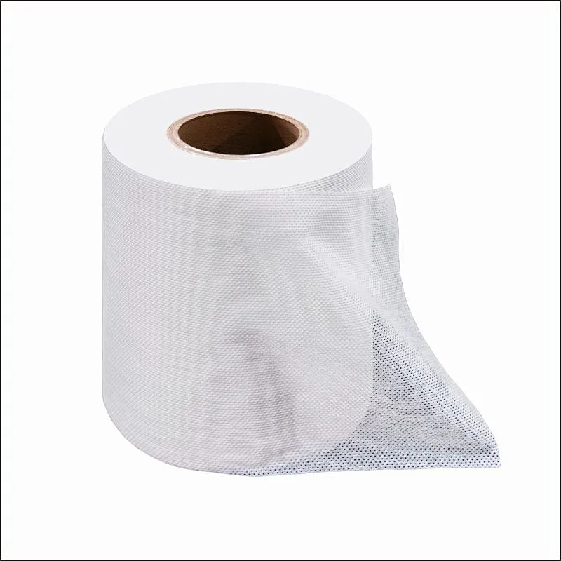 hydrophilic thermal bonded nonwoven