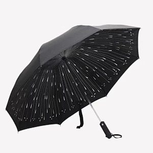 Wind Proof Auto Open Close Folding Double Layer Inverted Reverse Umbrella