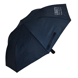 Easy Carrying Super Light Auto Opening Promotion 2 Folding Umbrella