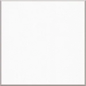 Arctic White