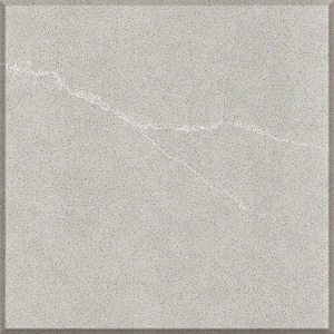Silver Brich