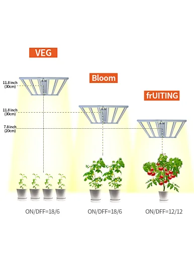 planting greenhouse