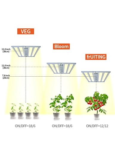 planting greenhouse