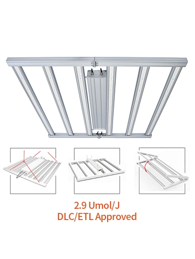 hydroponic greenhouse led grow