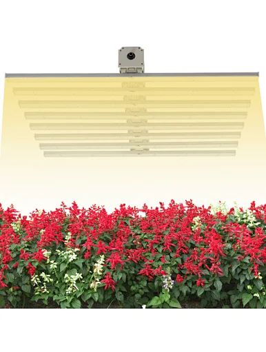 Led Grow Lights for Indoor led grow lights full spectrum
