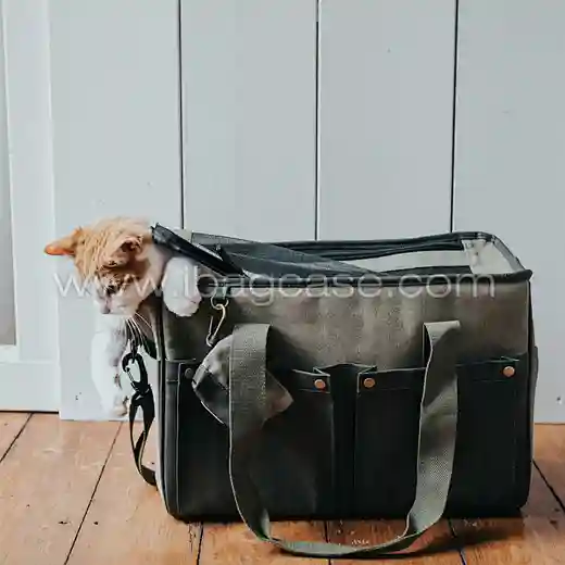 Pet Carrying Bag for Cat