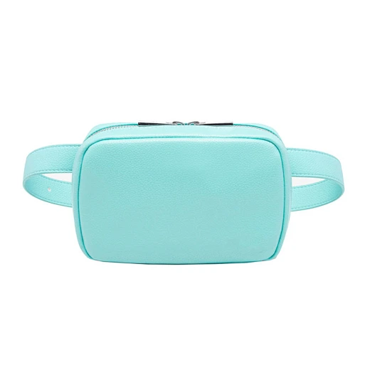 Diabetes Belt Bag