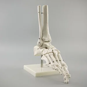 Foot joint