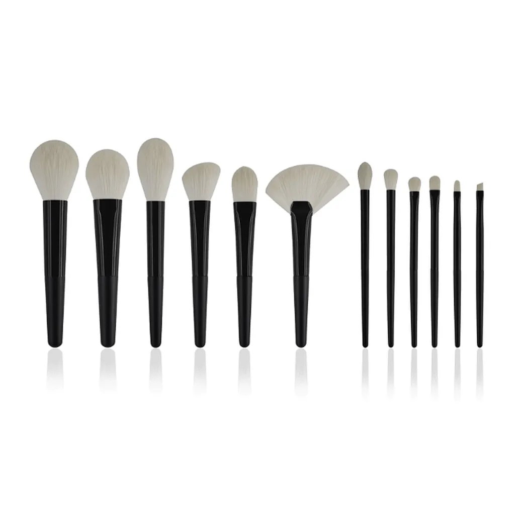 professional makeup brushes