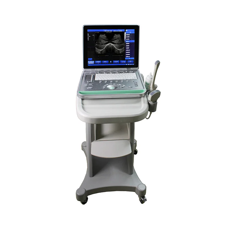 LTS-8 low cost Laptop ultrasound scanner for clinic