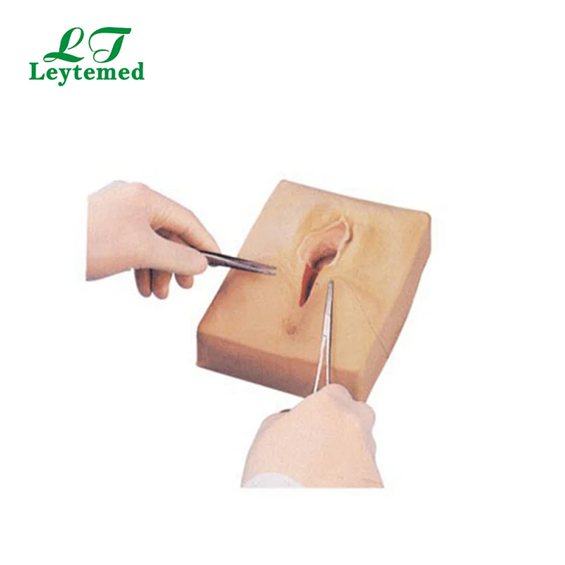 LTM428 Vulva Suturing Genital Suturing Training Simulator