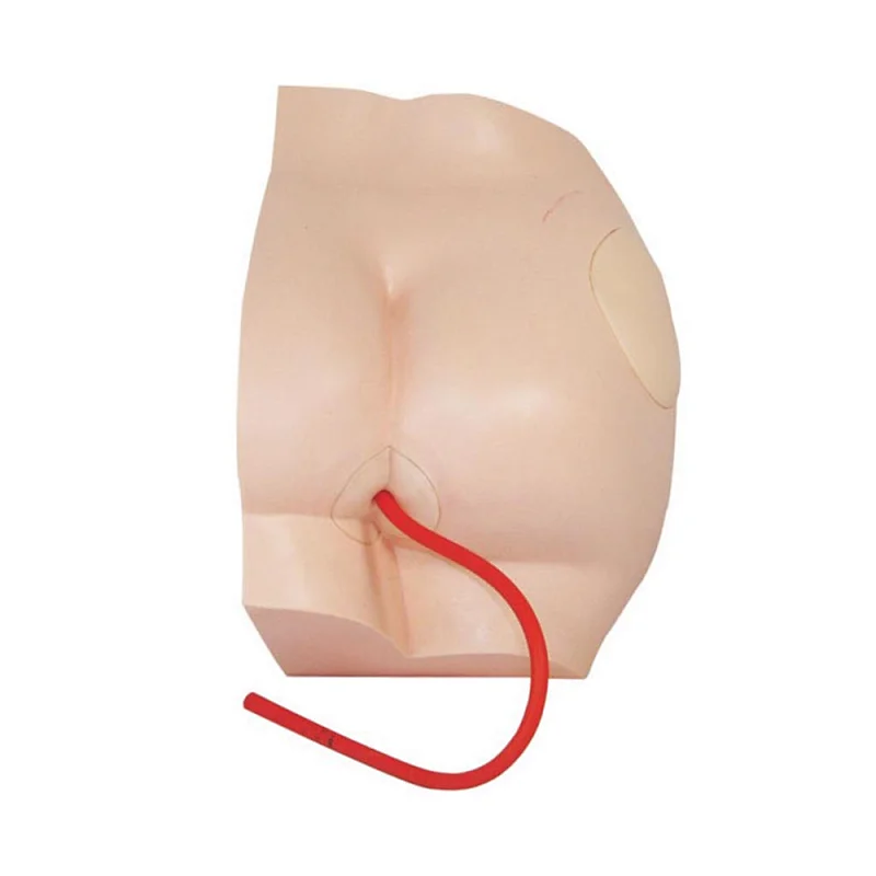 LTM419A buttock injection training model