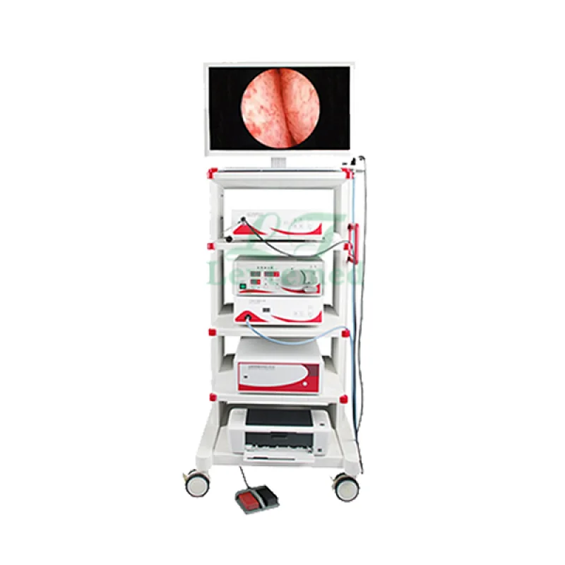 LTES30 Endoscope complete set urology equipment